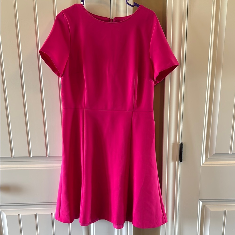 Ann Taylor Fuchsia Short Sleeve Fit & Flare Dress